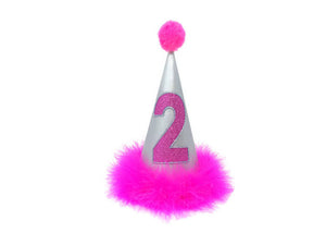 Birthday Hat for Dogs or Cats, Metallic Silver and Hot Pink
