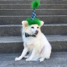 Load image into Gallery viewer, Paw Print Dog or Cat Birthday Hat