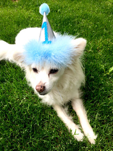 Birthday Hat for Dogs or Cats, Metallic Silver and Hot Pink