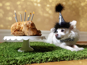 Paw Print Dog or Cat Birthday Hat