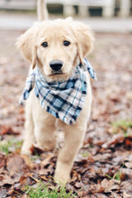 Load image into Gallery viewer, White and Black Buffalo Plaid Flannel Fray Dog Bandana