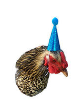 Load image into Gallery viewer, Summer Dot Party Hat, Yellow and Red Party Hat, Hedgehog Party Hat, Chicken Party Hat, Ferret Party Hat, Polka Dot Party Hat