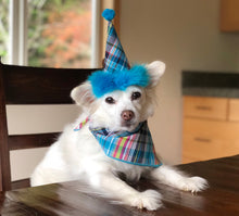 Load image into Gallery viewer, PBirthday Set - Bright Blue Plaid hat and Matching Bandana, Blue Dog Bandana, Dog Birthday Accessories Dog Birthday Set