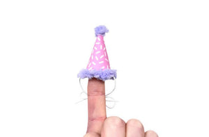 Mini Pink and Purple Sprinkles Party Hat, Hedgehog Party Hat, Chicken Party Hat, Ferret Party Hat, Donut Sprinkles Birthday Hat
