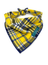 Load image into Gallery viewer, Dog Birthday Set - Yellow and Blue Plaid hat and Matching Bandana