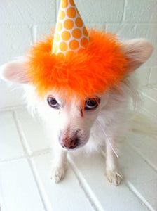 Dog Party Hat, Cat Party Hat, Orange Polka Dot