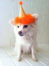 Load image into Gallery viewer, Dog Party Hat, Cat Party Hat, Orange Polka Dot